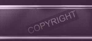 Remove Copyright Branding from Footer WordPress Theme