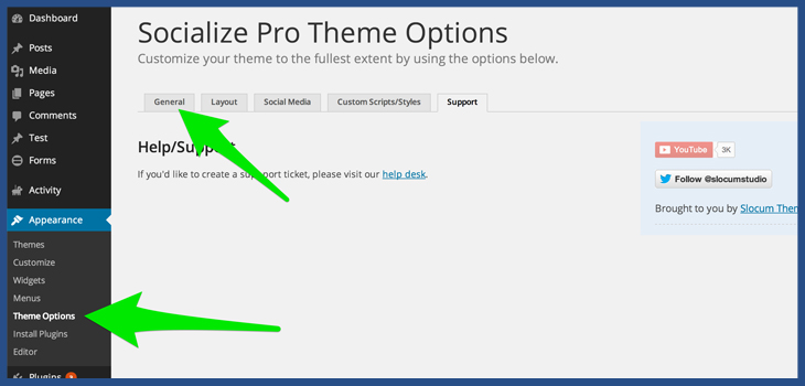 Access theme options on wordpress