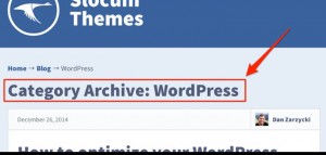 Remove or hide category archive titles wordpress