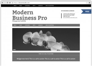 Free WordPress Modern Business Theme