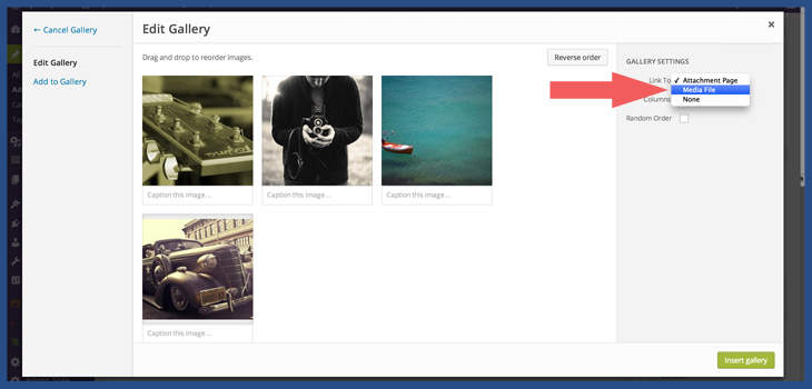 Create a Gallery in WordPress part 2