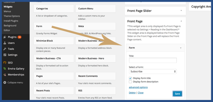 Place Newsletter form in a widget area wordpress