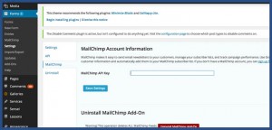 How to get an API Key in MailChimp