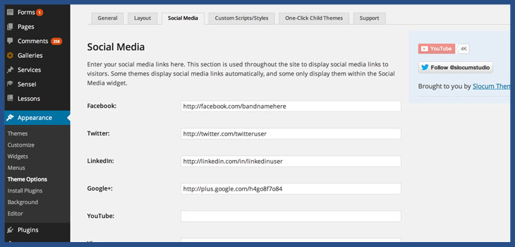 Add Social Media Buttons to WordPress