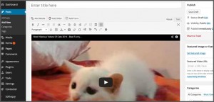 Preview video in WordPress editor