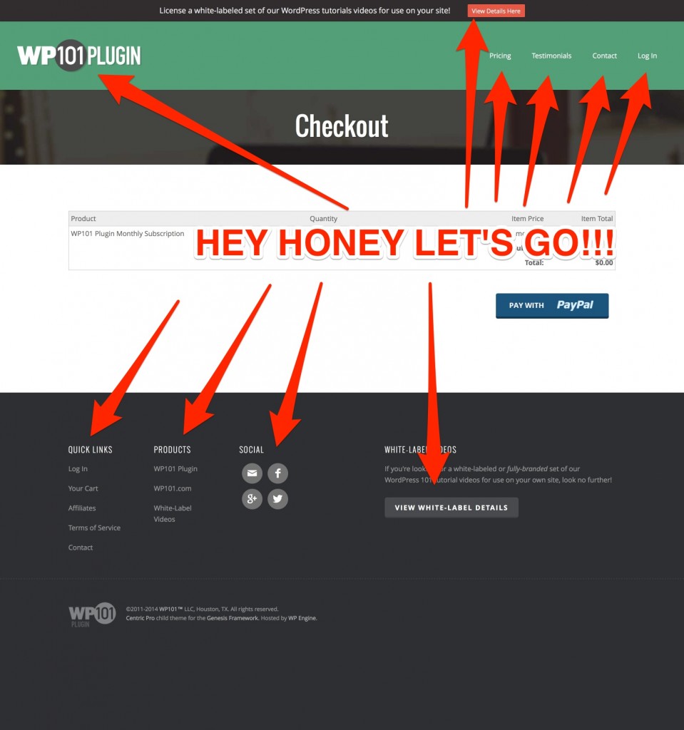 WP 101 Checkout Example