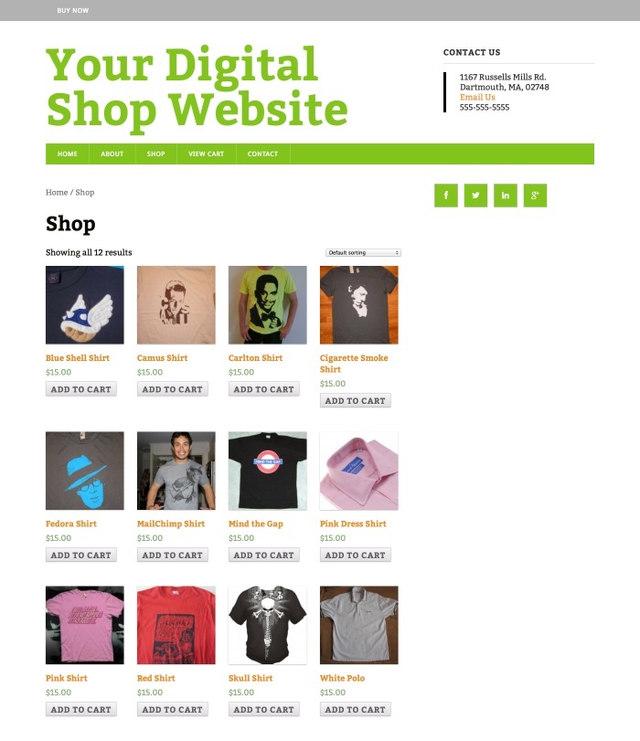 WordPress eCommerce SEO theme