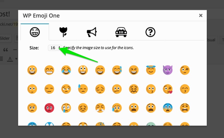 Change size of emoji one wordpress