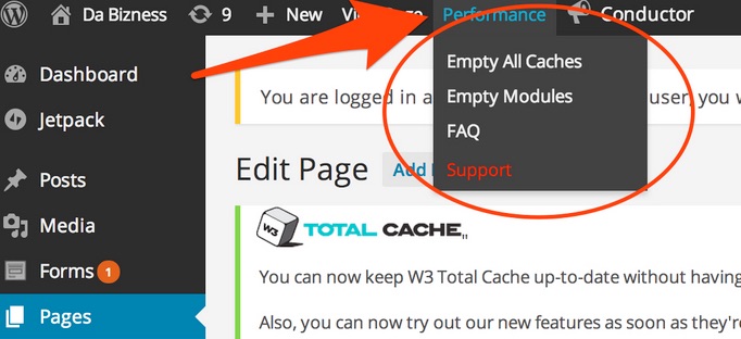 Empty Browser Cache (W3 Total Cache)