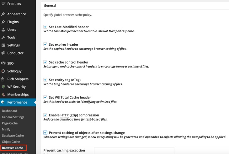 W3 total cache Browser Cache settings