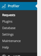 Wp Performance Profiler in Dashboard