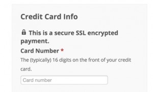 Secure SSL on checkout