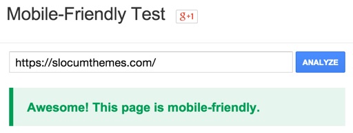 Google Mobile Friendly Test